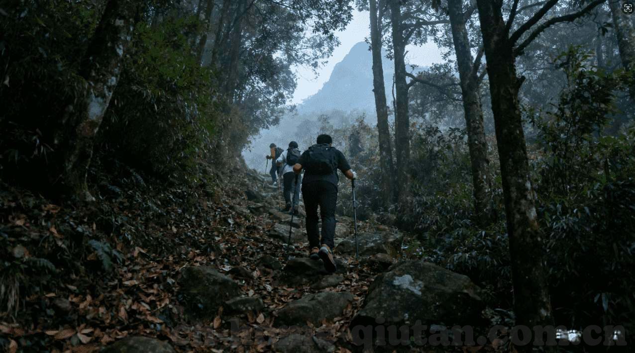 今晚世界杯彩票3-今晚世界杯彩票3,激情与期待的碰撞