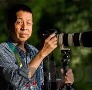 水果机老虎机亏分图-水果机老虎机亏分图，揭示赌博背后的真相