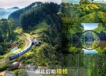 足球比赛弃权 比分-当足球场上的哨声未响，深度解析弃权背后的比分逻辑与体育精神